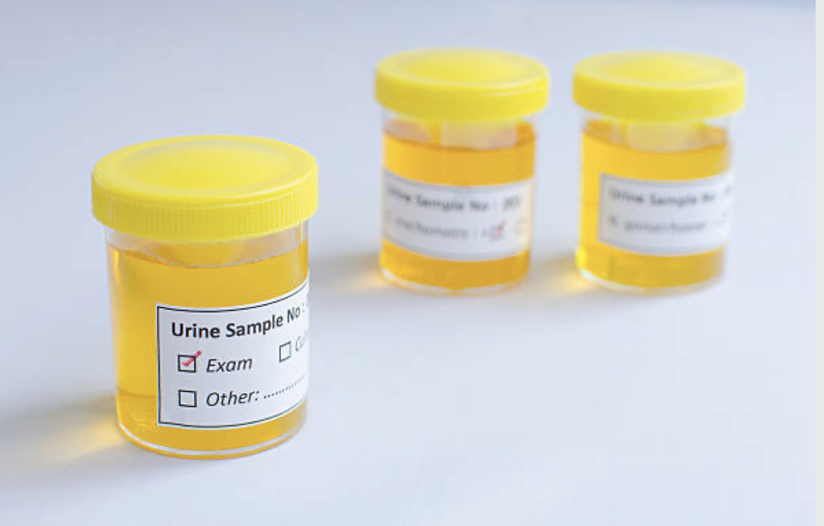 18345E74-1D2E-489C-809F-9608884BBF9D